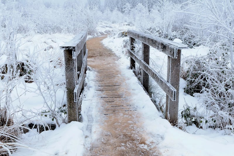 Elven Pathways