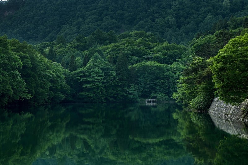 Elven Realm
