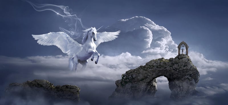 Unicorn Meadow